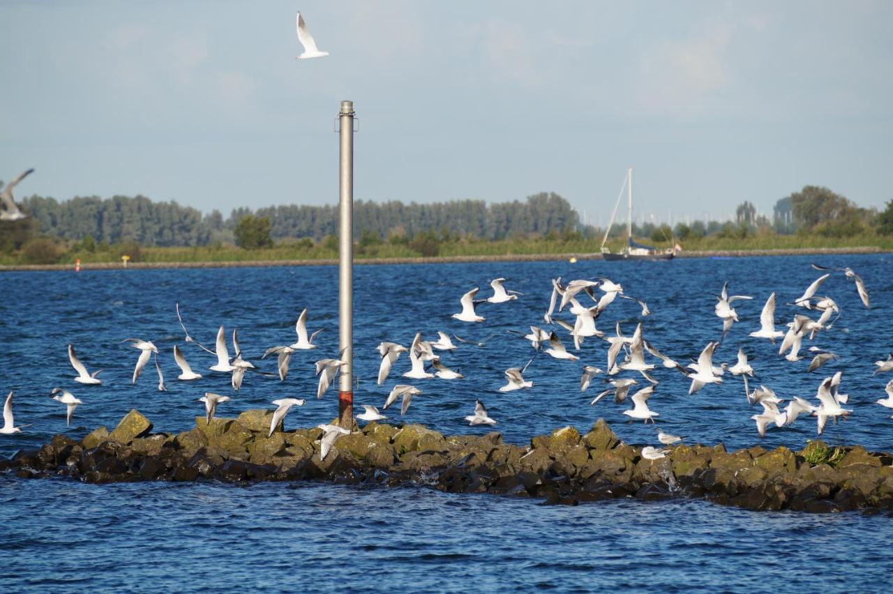 B&B Logeren Bij De Burgemeester Stad aan 't Haringvliet ภายนอก รูปภาพ