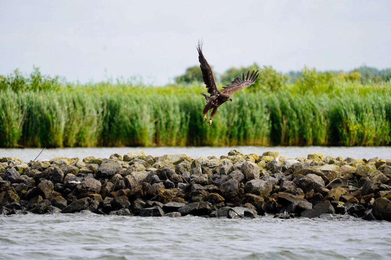 B&B Logeren Bij De Burgemeester Stad aan 't Haringvliet ภายนอก รูปภาพ